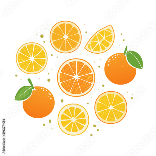 Flat design citrus slices and leaves vector