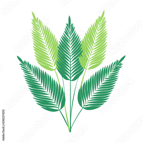 Flat design palm leaf vector illustration