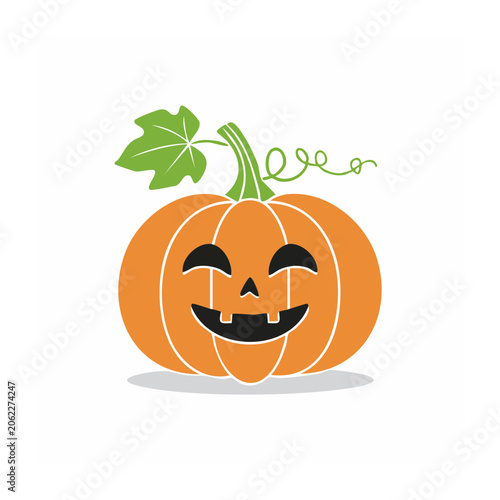 Flat design pumpkin with leaf and stem