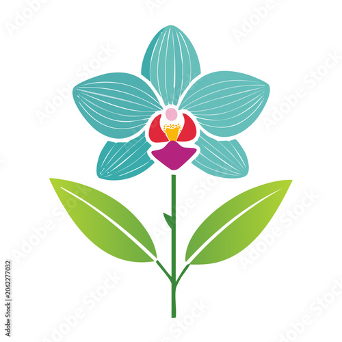 Flat design turquoise orchid flower illustration