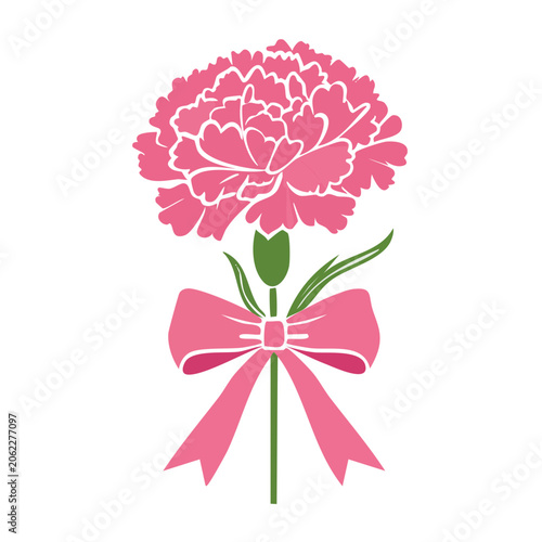 Pink Carnation Flower with Bow Illustration