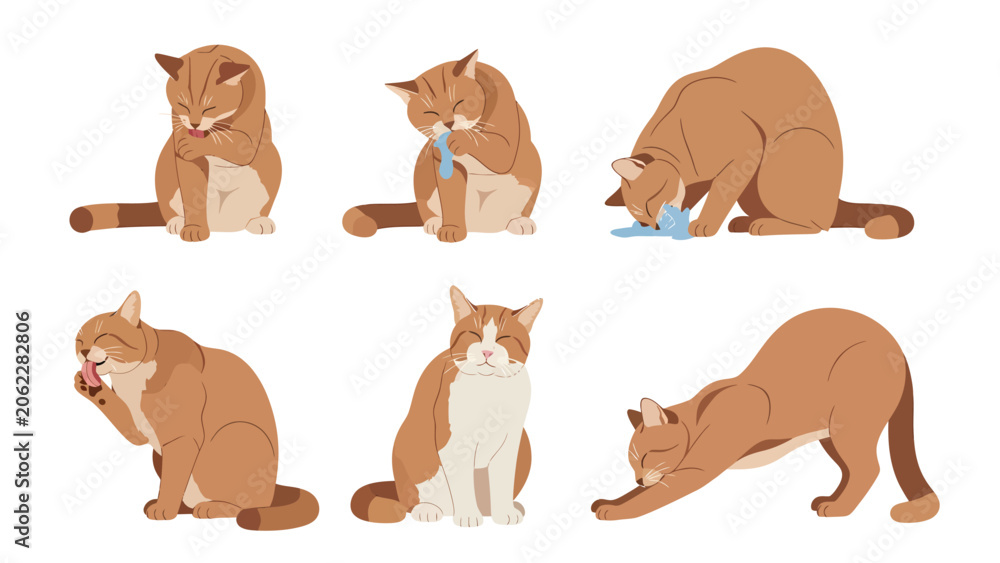 Fototapeta premium Collection of cute ginger and white cats performing various grooming and stretching actions.