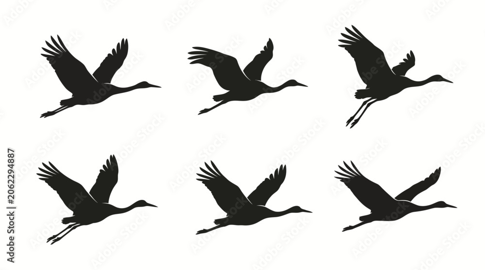 Fototapeta premium Flying crane silhouettes set, migratory birds in flight vector