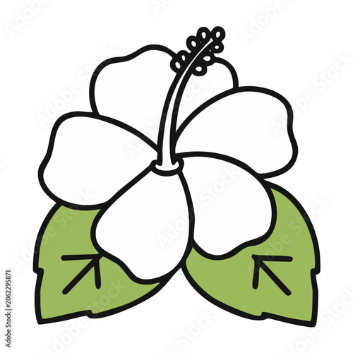 Flat Design Hibiscus Flower with Leaves