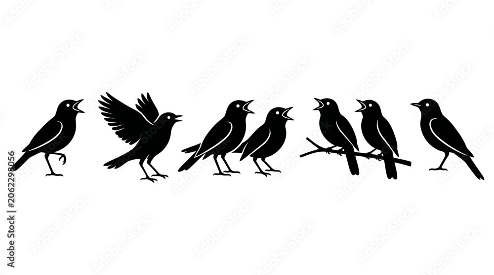 Obraz premium Vector Black Silhouette Collection of Singing and Chirping Birds