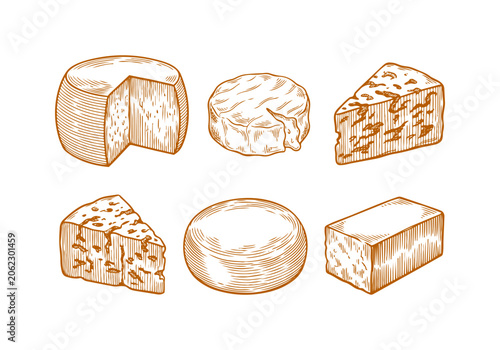 Foto Vintage Cheese Wheel Vector Illustration Hand Drawn Dairy Product Wedge Slice Tr