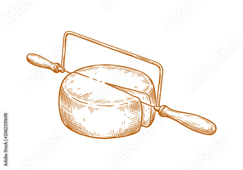 Schilderij op canvas Vintage Cheese Wheel Vector Illustration Hand Drawn Dairy Product Wedge Slice Tr