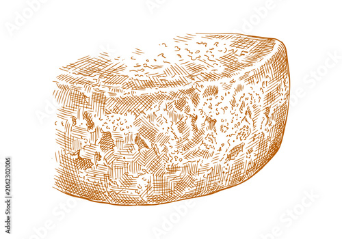 Schilderij op canvas Vintage Cheese Wheel Vector Illustration Hand Drawn Dairy Product Wedge Slice Tr