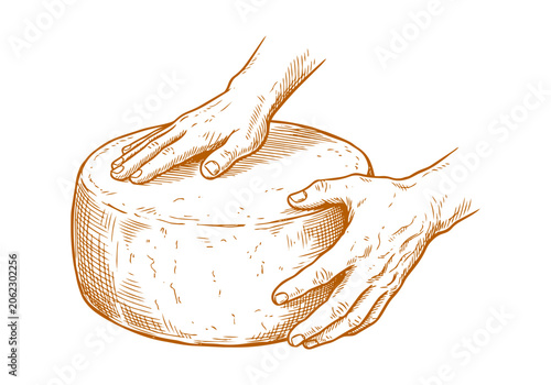 Schilderij op canvas Vintage Cheese Wheel Vector Illustration Hand Drawn Dairy Product Wedge Slice Tr