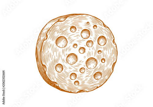 Schilderij op canvas Vintage Cheese Wheel Vector Illustration Hand Drawn Dairy Product Wedge Slice Tr
