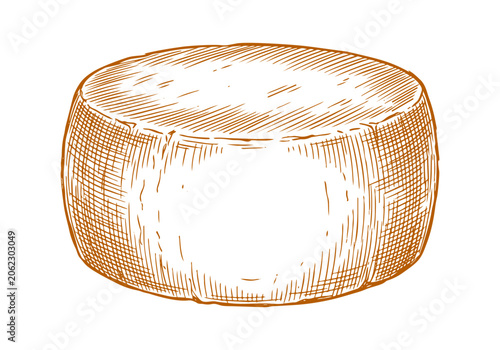 Schilderij op canvas Vintage Cheese Wheel Vector Illustration Hand Drawn Dairy Product Wedge Slice Tr