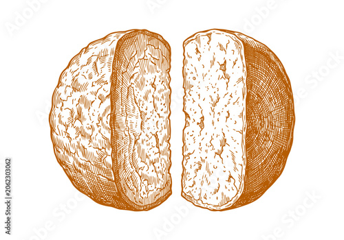 Foto Vintage Cheese Wheel Vector Illustration Hand Drawn Dairy Product Wedge Slice Tr