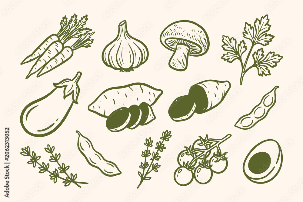 Fototapeta premium Variety of fresh vegetables and herbs illustration Vector, illustration