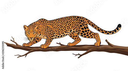 Playful full body vector illustration of a wild spotted leopard walking gracefully on a wooden tree branch against a white background