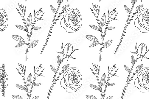 Floral Pattern Vector Illustration on White Background