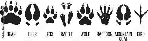 Cuadro en lienzo Wild Animal Track Silhouette Collection Featuring Bear Deer Fox Rabbit Wolf Racc