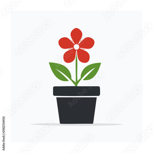 Red poppy flower in black vase flat design