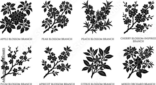 Fotografija Fruit Tree Blossom Branch Silhouette Collection with Apple Pear Peach Plum Apric