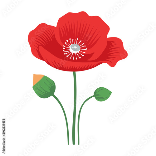 Red Poppy Flower Flat Design Illustration