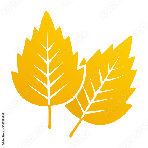 Yellow Maple Leaves Icon on Transparent Background