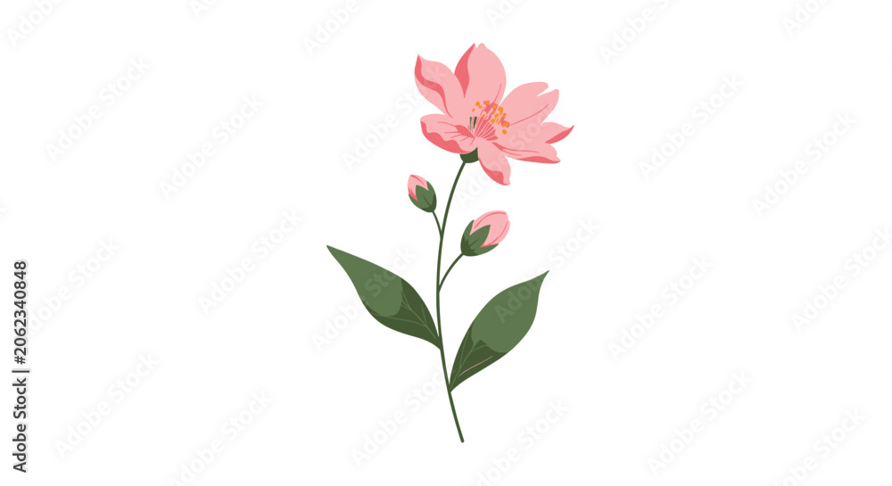 Fototapeta premium Close-up illustration of a beautiful blooming pink flower on a green leafy stem isolated on a plain white background.