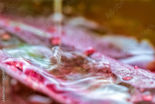 Rain and water droplets on a red leaf