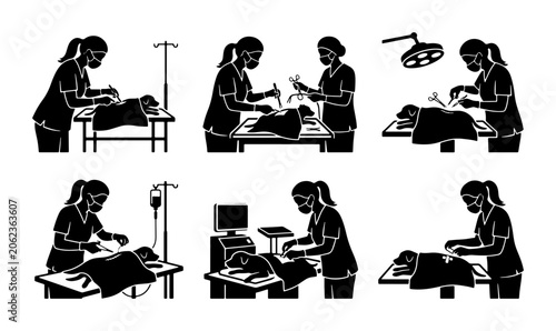 Fényképezés Veterinary Surgery Procedure Silhouettes