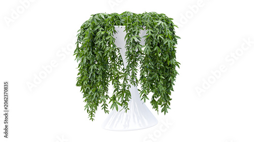 Photos Weeping green plant cascading from elegant white vase indoors.