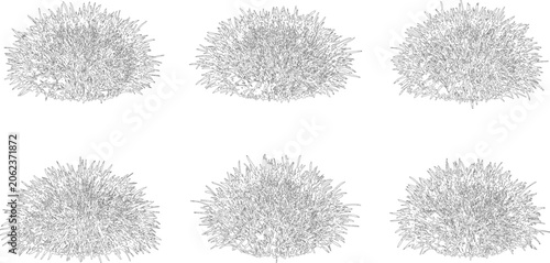 Elevation view and vector set of ornamental grasses for landscape architecture and site planning projects with clean line art
