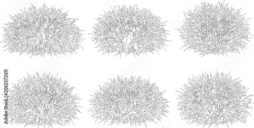 Elevation view and vector set of ornamental grasses featuring six distinct clump designs for landscape architecture projects
