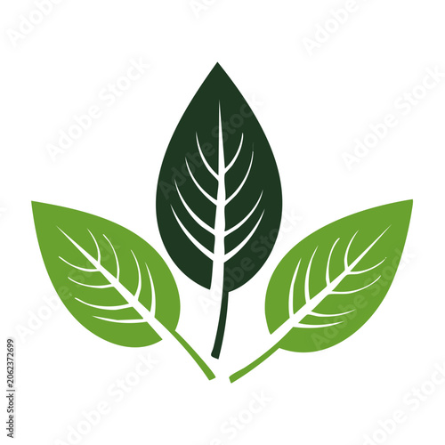 Flat design ivy leaf icon