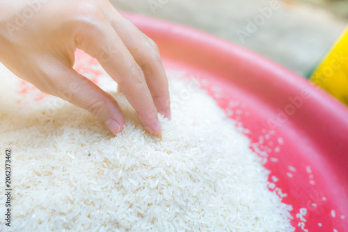 Cuadro en lienzo Woman hand holding rice in plastic tray