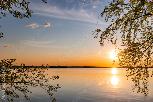 Beautiful summer sunset over a calm Finnish lake, naturally framed by the vibrant green leaves and branches of birch and pine trees.
