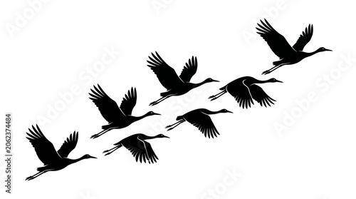 Konstfotografi Silhouette Illustration of a Flock of Migratory Birds Flying in Formation
