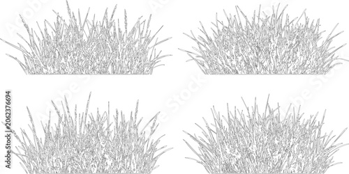 Vector set of ornamental grass tufts in elevation view for landscape architecture and garden design project visualization
