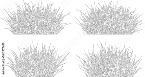 Vector set of ornamental grass clusters in elevation view for landscape architecture and garden design visualization projects
