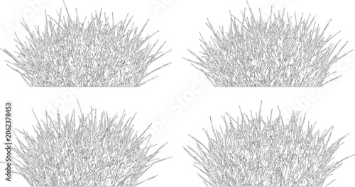 Elevation view vector set of ornamental grasses isolated on white background for architectural landscape design projects
