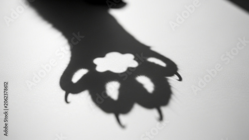 Cat paw shadow with flower cutout on white surface - Generative AI