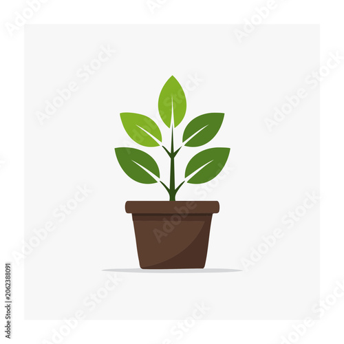 Minimalist green plant in brown pot