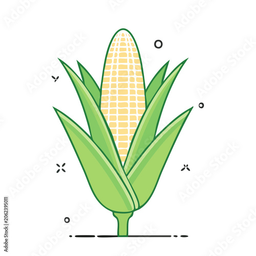 Tropical leaf vector illustration