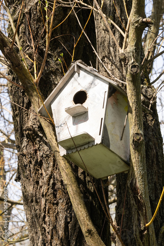 A Handmade Wooden Birdhouse Mounted on a Tree