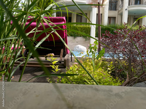 Horizontal close up shot of a luxury resort chaise lounge with a vibrant pink cushion on a wooden deck, viewed through lush green garden plants and ornamental grass with a swimming pool and hotel buil