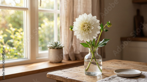 White Dahlia Flower In Glass Vase By Sunlit Window