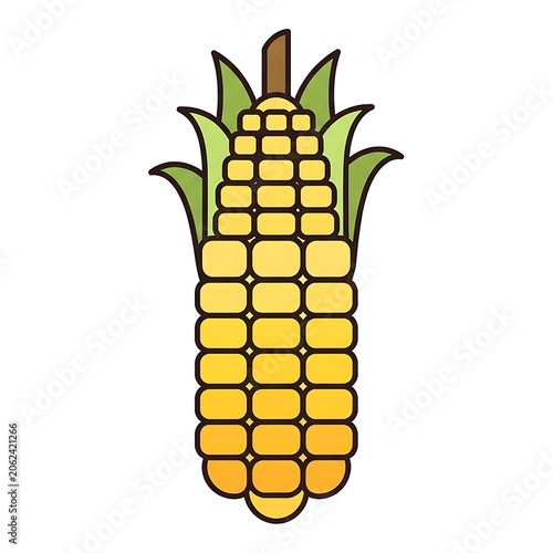 Fresh yellow corn cobs with husk and silk.