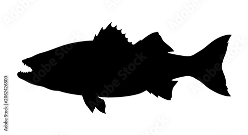 Foto Black fish silhouette vector, predatory sea bass profile icon, isolated saltwate