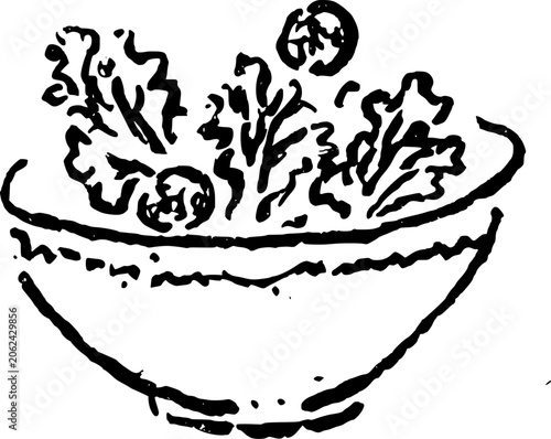 Hand Drawn Bowl of Salad Vector Line Art