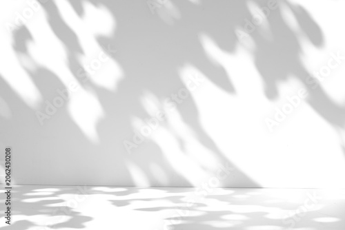 Tree leaf shadow overlay on the wall and floor isolated on a transparent background PNG