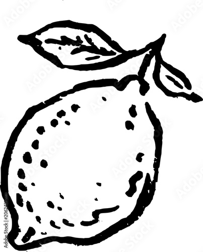 Hand Drawn Whole Lemon Vector Drawing