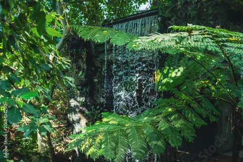 Slika na platnu Artificial waterfall surrounded by plants to recreate a rainforest environment