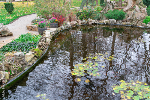 Garden pond with lily pads and green landscape